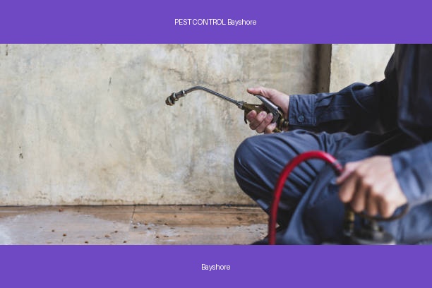 PEST CONTROL Bayshore